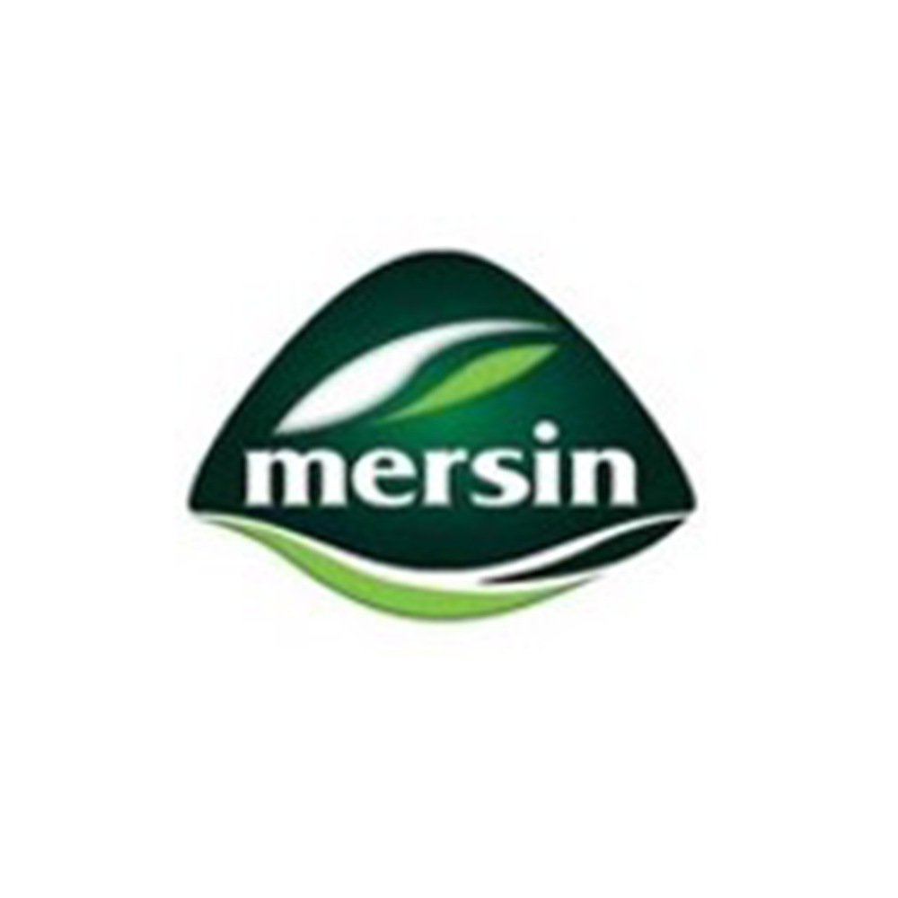 جبنة أبخازية مرسين × 12 قطعة - سادة