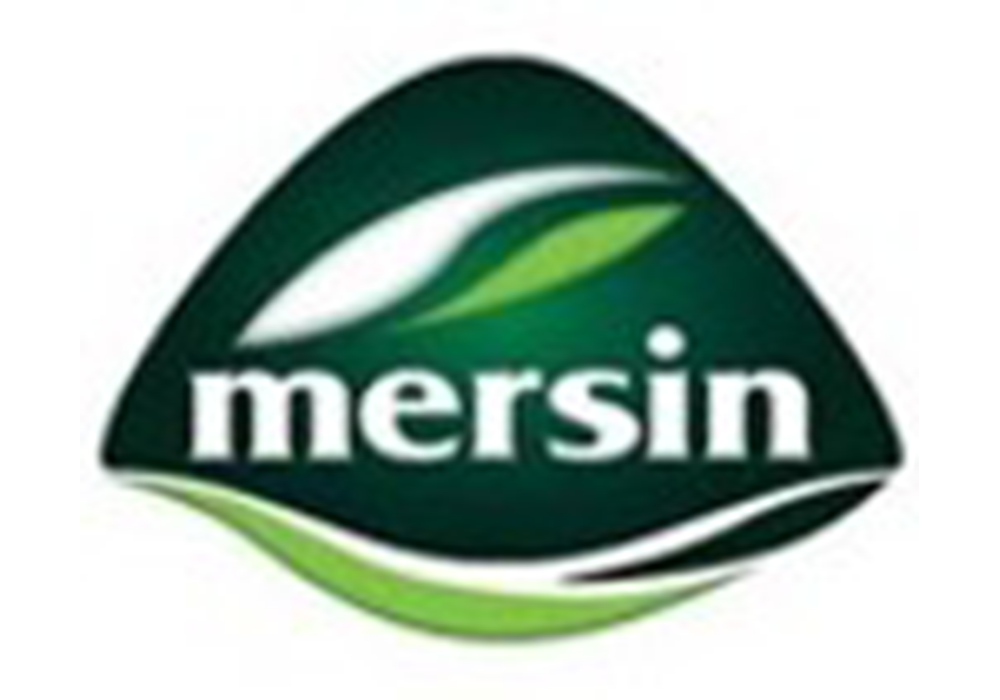 جبنة شيدر كريمية  × 18 قطعة